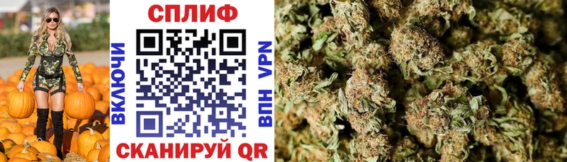Шишки марихуана OG Kush  Анива 